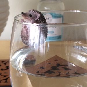 Meet your Posher, Yasmin